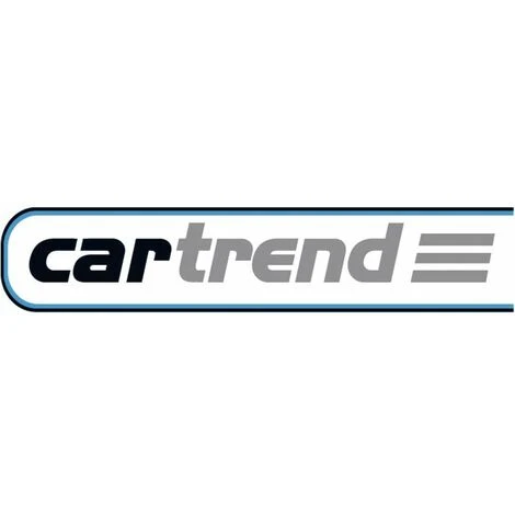 Cartrend 10242 Cartrend Double Barre De Maintien 5 Cartrend 10242 Cartrend Double Barre De Maintien – Image 3