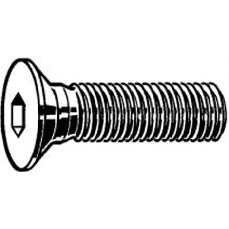 25 Vis BTR Inox A2 6 Pans Creux Tête Fraisée 5 X 30 Mm 3 25 Vis BTR Inox A2 6 Pans Creux Tête Fraisée 5 X 30 Mm