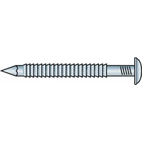 Pointes Annelées Tête Bombée Inox A2, Diamètre 2,5 Mm, Longueur 60 Mm, Boîte De 1 Kg 5 Pointes Annelées Tête Bombée Inox A2, Diamètre 2,5 Mm, Longueur 60 Mm, Boîte De 1 Kg – Image 3