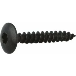 Vis Penture Tête Cylindrique Bombé T30 - Ø 6 Mm - 60 Mm - Zingué Noir - Boîte De 100 Pièces - Viswood