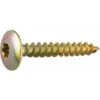 Vis Penture Tête Cylindrique Bombé T30 - Ø 6 Mm - 60 Mm - Zingué Jaune - Boîte De 100 Pièces - Viswood 2 Vis Penture Tête Cylindrique Bombé T30 - Ø 6 Mm - 60 Mm - Zingué Jaune - Boîte De 100 Pièces - Viswood -Fischer Boutique 2130535 1