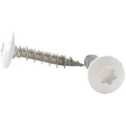 Vis Penture 6X30 TORX T30 Inox A2 Laqué Blanc RAL9016 Blanc Signalisation Conditionnement: Unitaire