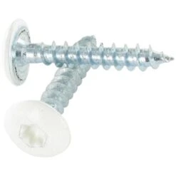 Vis Penture 4.5X50 TORX T20 Acier Zingué Blanc Laqué Blanc R9010 Conditionnement: Unitaire