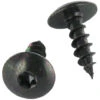 Vis Penture 5X40 TORX T20 Acier Zingué Noir Conditionnement: Unitaire -Fischer Boutique 28002478 1