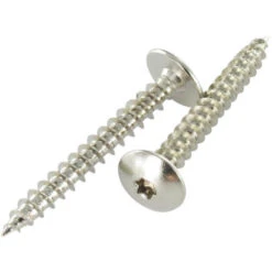 Vis Penture 5X40 TORX T20 Acier Nickelé Conditionnement: Unitaire