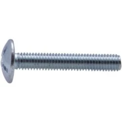 Boulon Poêlier Zingué Vissal Ø 5x40mm Lot De 12 Boulons