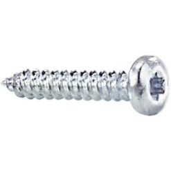 N/A 839576 Vis à Tôle 2.9 Mm 6.5 Mm Profil Torx DIN 7981 Acier Galvanisé 100 Pc(s)