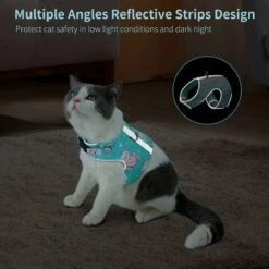 Ensemble Laisse Et Harnais Anti-évasion Pour Chat, Gilet Réfléchissant Réglable En Maille Douce Respirante Pour Animal De Compagnie Avec Carte Anti-perte Innovante (L, Cyan) -Fischer Boutique 65505831 4