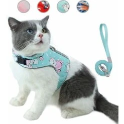 Ensemble Laisse Et Harnais Anti-évasion Pour Chat, Gilet Réfléchissant Réglable En Maille Douce Respirante Pour Animal De Compagnie Avec Carte Anti-perte Innovante (M, Cyan)
