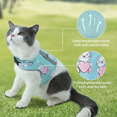 Ensemble Laisse Et Harnais Anti-évasion Pour Chat, Gilet Réfléchissant Réglable En Maille Douce Respirante Pour Animal De Compagnie Avec Carte Anti-perte Innovante (M, Cyan) 5 Ensemble Laisse Et Harnais Anti-évasion Pour Chat, Gilet Réfléchissant Réglable En Maille Douce Respirante Pour Animal De Compagnie Avec Carte Anti-perte Innovante (M, Cyan) – Image 3