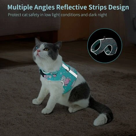 Ensemble Laisse Et Harnais Anti-évasion Pour Chat, Gilet Réfléchissant Réglable En Maille Douce Respirante Pour Animal De Compagnie Avec Carte Anti-perte Innovante (M, Cyan) 6 Ensemble Laisse Et Harnais Anti-évasion Pour Chat, Gilet Réfléchissant Réglable En Maille Douce Respirante Pour Animal De Compagnie Avec Carte Anti-perte Innovante (M, Cyan) – Image 4
