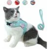 Ensemble Laisse Et Harnais Pour Chat Anti-évasion, Gilet Réfléchissant Réglable En Maille Douce Respirante Pour Animal De Compagnie Avec Carte Anti-perte Innovante (XS, Cyan) -Fischer Boutique 65505945 1
