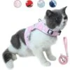Ensemble Laisse Et Harnais Anti-évasion Pour Chat, Gilet Réfléchissant Réglable En Maille Douce Respirante Pour Animal Domestique Avec Carte Anti-perte Innovante (L, Rose) -Fischer Boutique 65505975 1