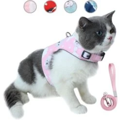 Ensemble Laisse Et Harnais Anti-évasion Pour Chat, Gilet Réfléchissant Réglable En Maille Douce Respirante Pour Animal Domestique Avec Carte Anti-perte Innovante (L, Rose)