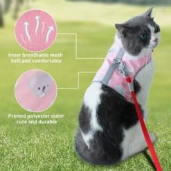 Ensemble Laisse Et Harnais Anti-évasion Pour Chat, Gilet Réfléchissant Réglable En Maille Douce Respirante Pour Animal Domestique Avec Carte Anti-perte Innovante (L, Rose) -Fischer Boutique 65505975 3
