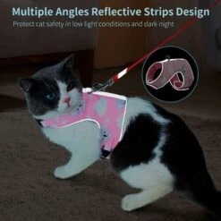 Ensemble Laisse Et Harnais Anti-évasion Pour Chat, Gilet Réfléchissant Réglable En Maille Douce Respirante Pour Animal Domestique Avec Carte Anti-perte Innovante (XS, Rose) -Fischer Boutique 65506038 4
