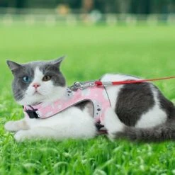 Ensemble Laisse Et Harnais Anti-évasion Pour Chat, Gilet Réfléchissant Réglable En Maille Douce Respirante Pour Animal Domestique Avec Carte Anti-perte Innovante (XS, Rose) -Fischer Boutique 65506038 5