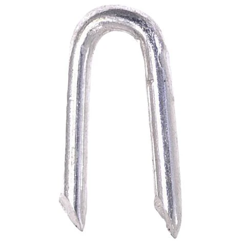 CRAMPILLON GALVANISÉ 500G 30MM FORGEFAST 500NLNS30GB 3 CRAMPILLON GALVANISÉ 500G 30MM FORGEFAST 500NLNS30GB