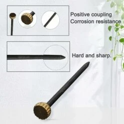 120 Pièces Clous Photo épingles à Tête En Laiton Crochets Photo Durcis Cintres 9 120 Pièces Clous Photo épingles à Tête En Laiton Crochets Photo Durcis Cintres -Fischer Boutique 95825548 4